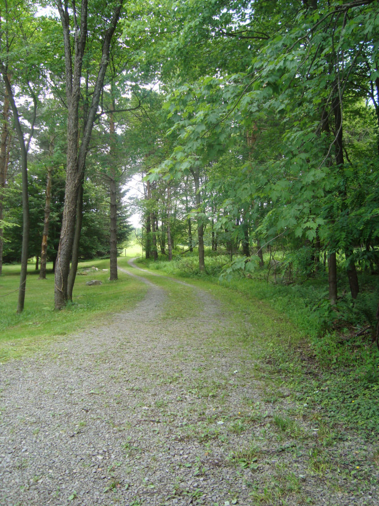 Path, Believe in Yourself