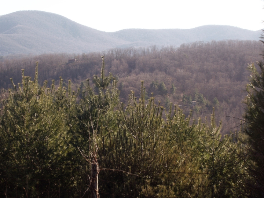 Appalachia, Blue Ridge Parkway
