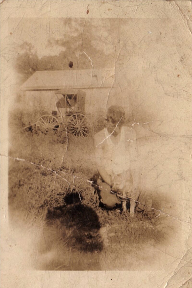 donald thomas