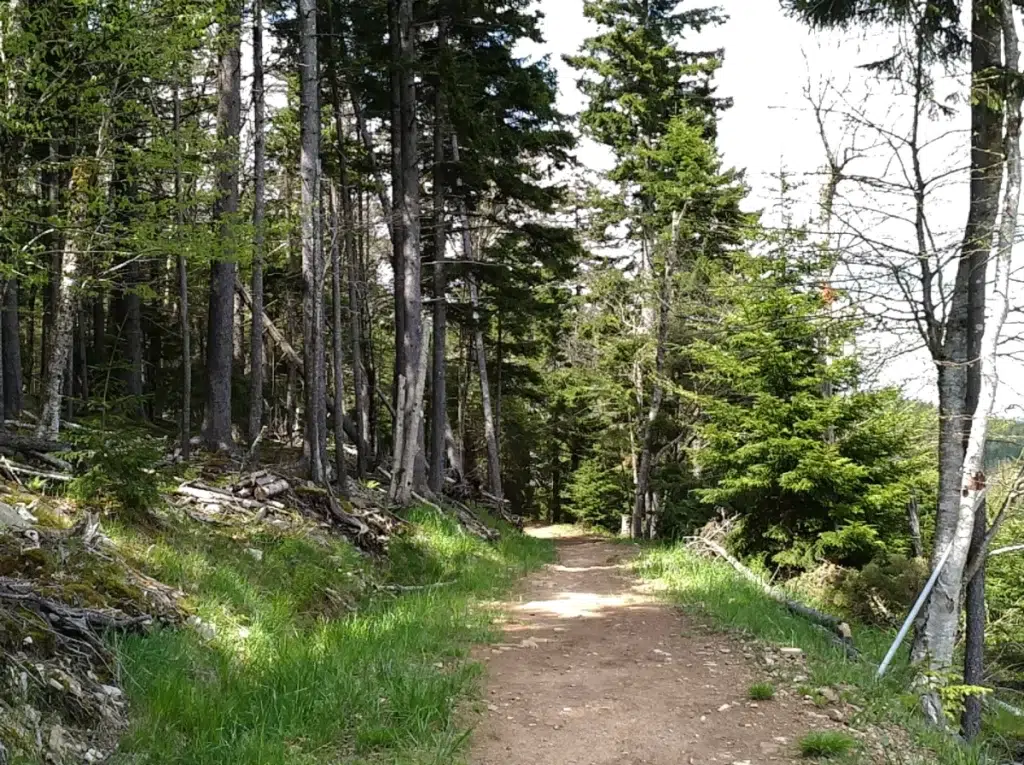 Silent walk along the trail.