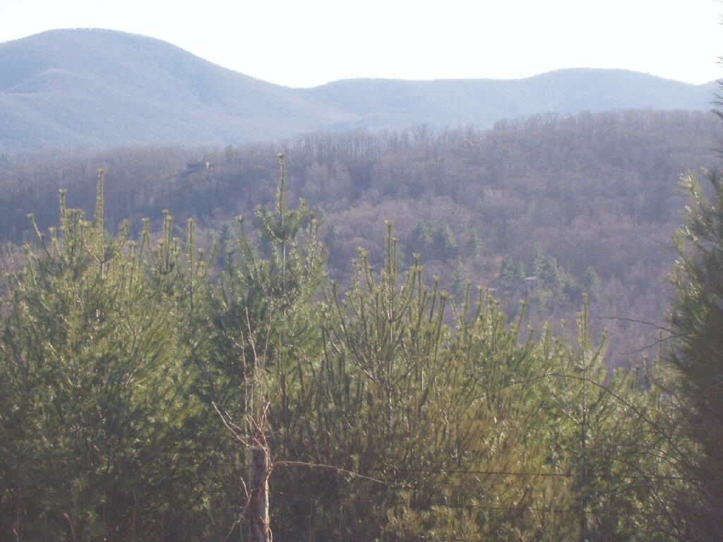 Changing seasons on the Parkway.