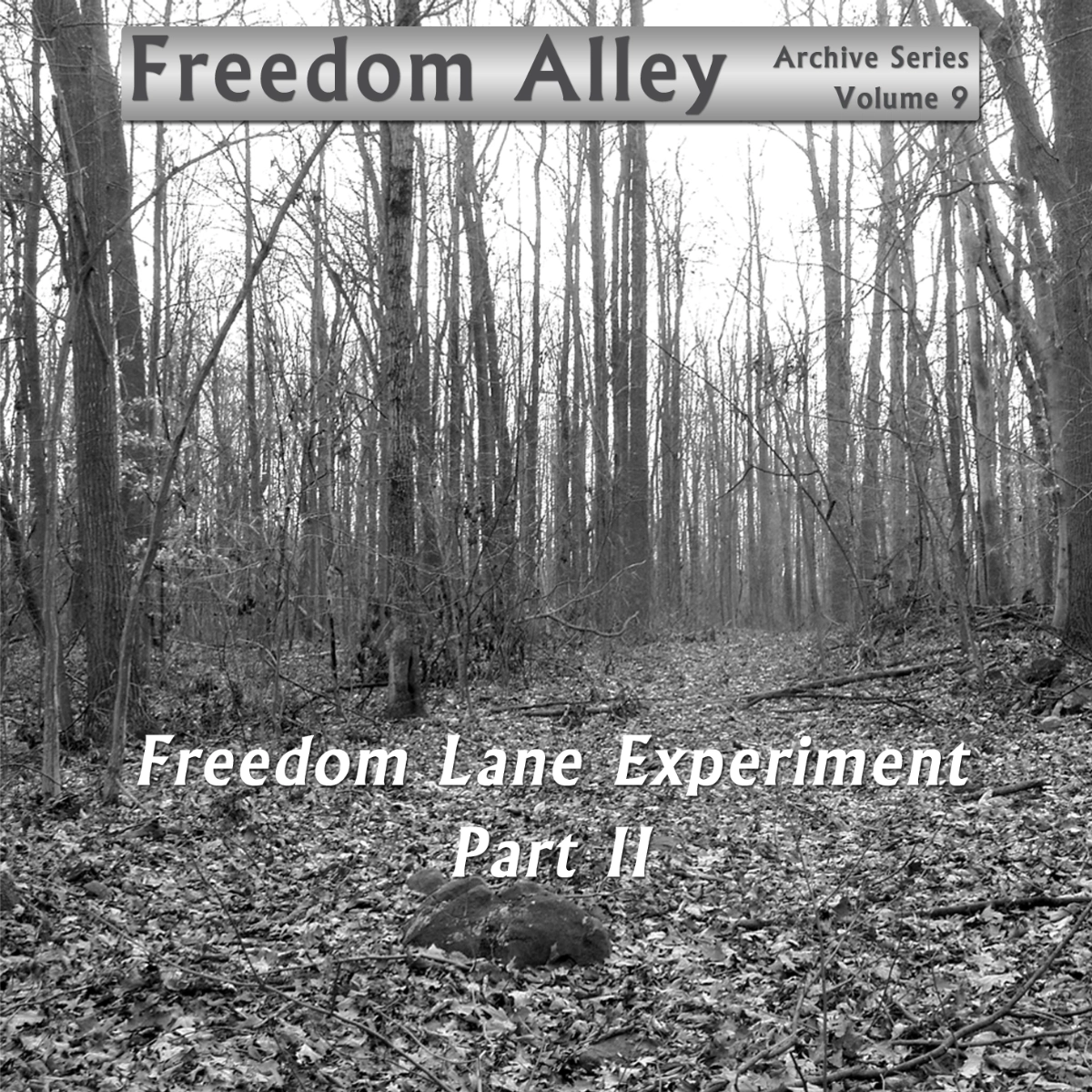 Volume IX-Front Cover